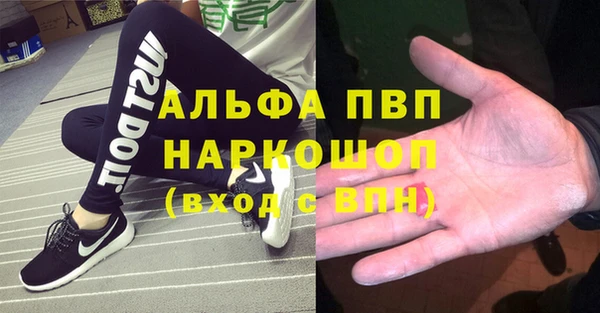 индика Нефтекумск