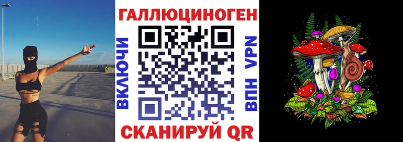 закладка  Хасавюрт  Галлюциногенные грибы мухоморы 