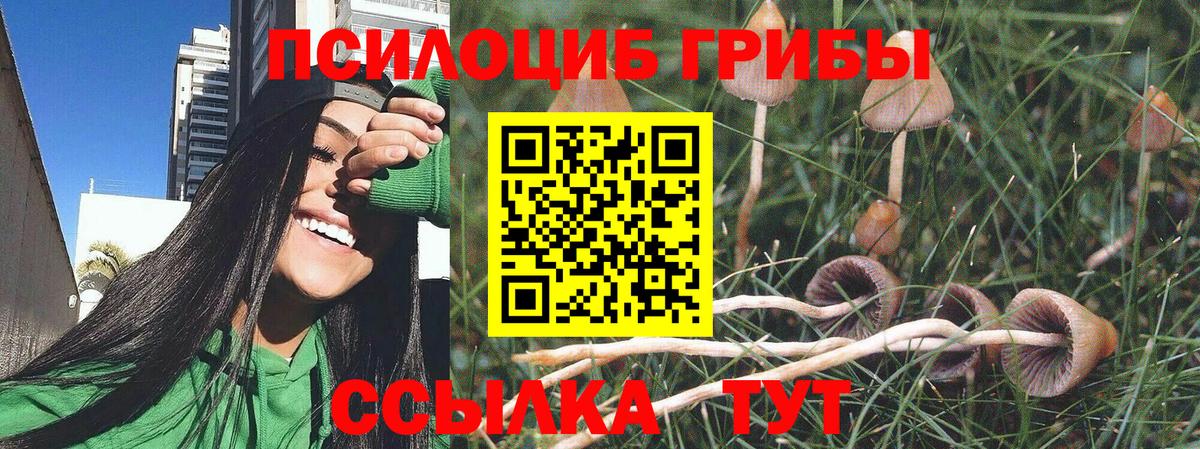 Галлюциногенные грибы Cubensis  Вход с VPN  Хасавюрт 