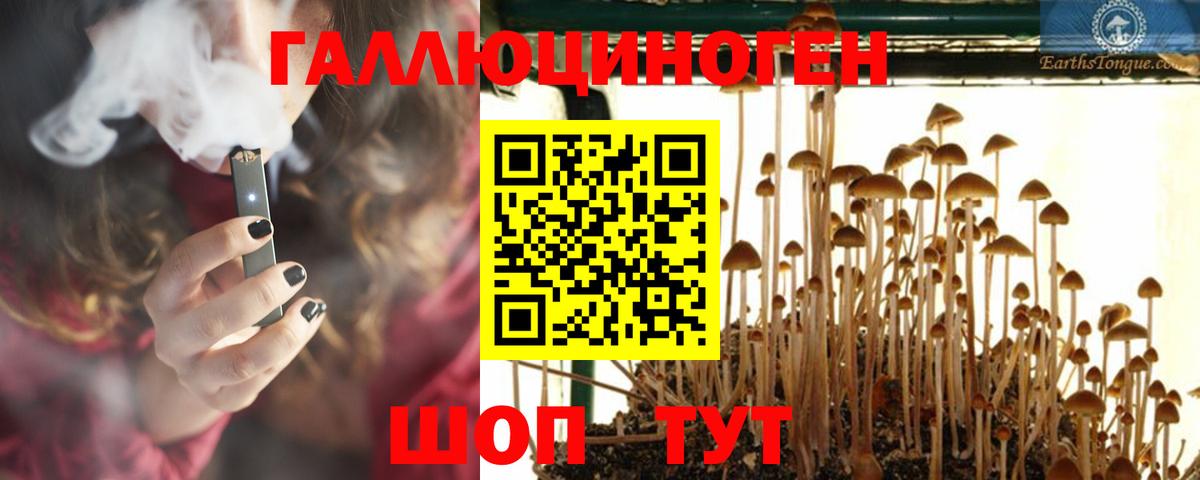 Псилоцибиновые грибы мицелий Хасавюрт